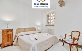 Equilibrium, Terre Marine, Marola